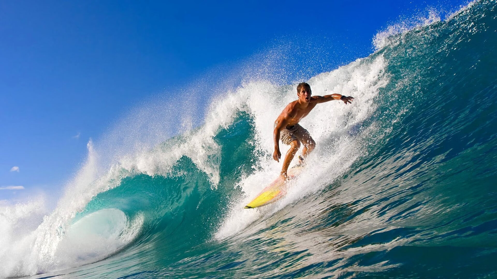 体育票务系统升级提升观赛体验